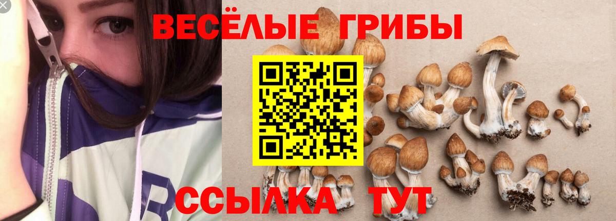 Галлюциногенные грибы ЛСД Октябрьский